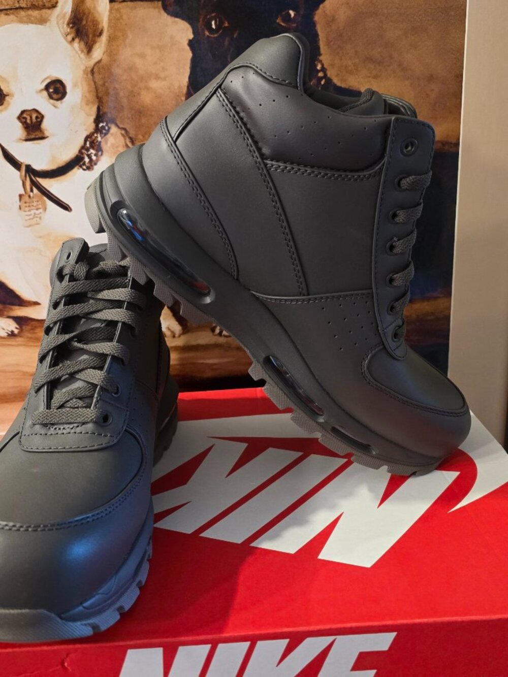 Nike Air Max Goadome Medium Ash FZ1314 200 Leather Boots Boot Mens 10.5 US NEW